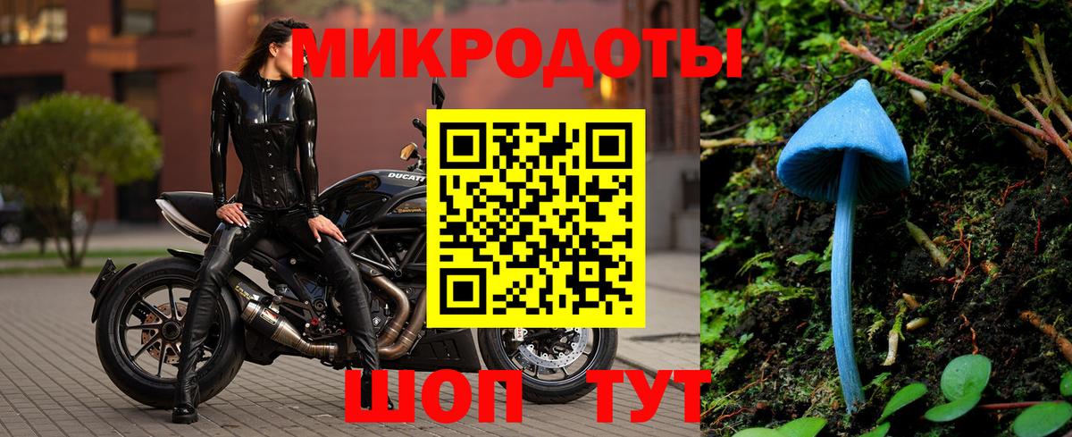 Галлюциногенные грибы Psilocybine cubensis  Вход с VPN  Кушва 
